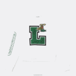 Lacoste הדפס אוברסייז וסווטשירט ממותג DZ4D0D2578 לבן 001 נשים - Image 5