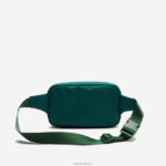 Lacoste חבילת פאני קנבס עם פרטי תלבושת ניגודיות DZ4D0D2040 swing vert 132 spiruline h47 גברים - Image 3
