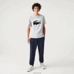 Lacoste חולצת טריקו עם הדפס תנין בהתאמה רגילה xl DZ4D0D572 chine אפור cca גברים - Image 2