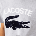 Lacoste חולצת טריקו עם הדפס תנין בהתאמה רגילה xl DZ4D0D572 chine אפור cca גברים - Image 6