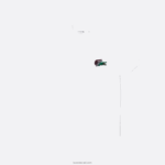 Lacoste כותנה אורגנית פיקה פולו DZ4D0D575 לבן 001 גברים - Image 5