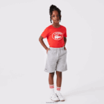 Lacoste מכנסי צמר מכותנה אורגנית מוברש DZ4D0D3101 chine אפור cca ילדים - Image 9