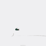 Lacoste מכנסי רשת טניס x daniil medvedev DZ4D0D428 לבן 001 גברים - Image 6