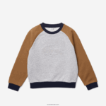 Lacoste סווטשירט קולור בלוק ממותג DZ4D0D3195 אפור צ'ין חום כחול כהה ne1 בנים - Image 3