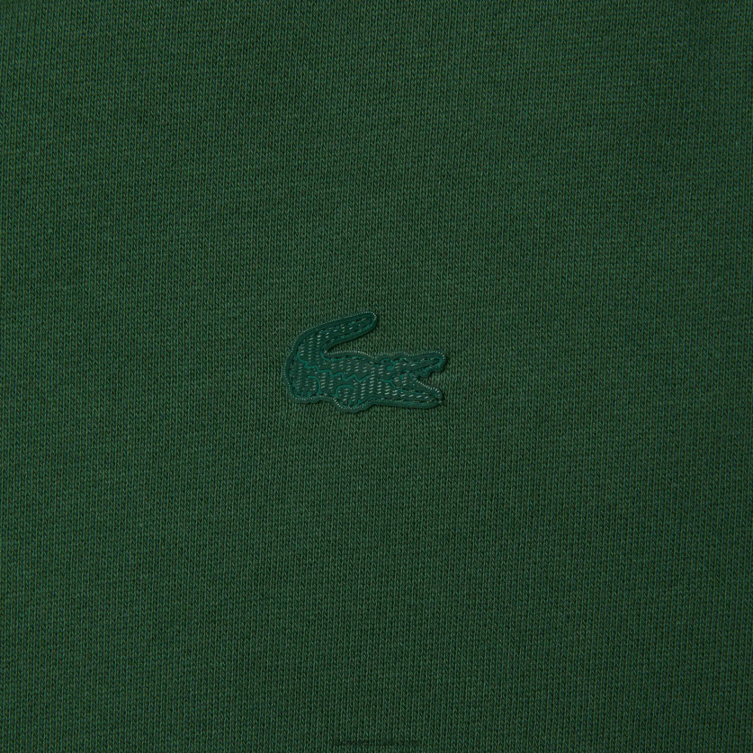 Lacoste קפוצ'ון כותנה אורגנית sport x theo curin DZ4D0D1123 ירוק כהה כחול nl7 גברים - Image 9